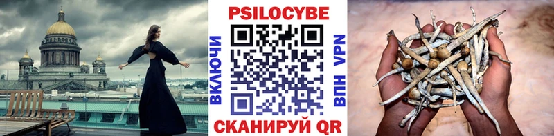 Псилоцибиновые грибы GOLDEN TEACHER  Кола 